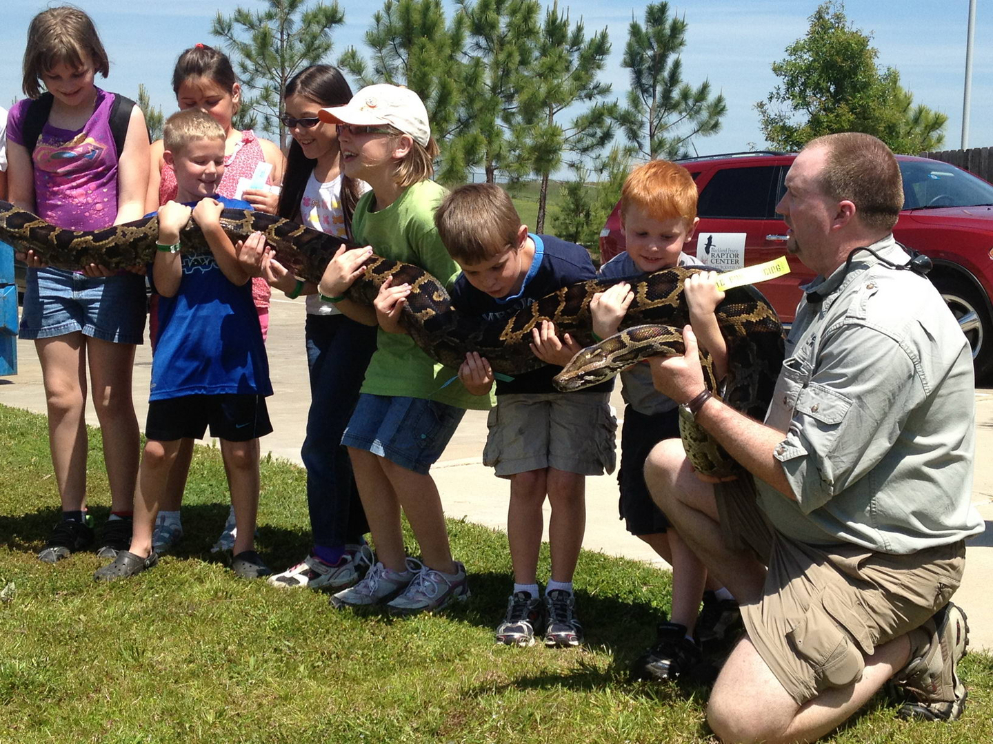 Mr. B during Wildlife on the Move performance helping children support large snake