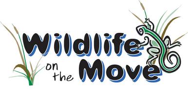 wildlife on the move logo with tall grass and lizard