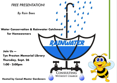 Rain Bees Rainwater