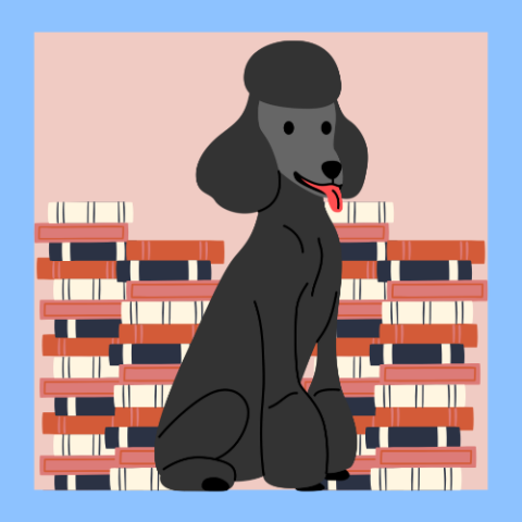 black poodle doodle with books