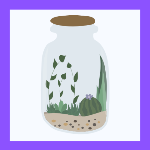 tween prehistoric plant terrarium 