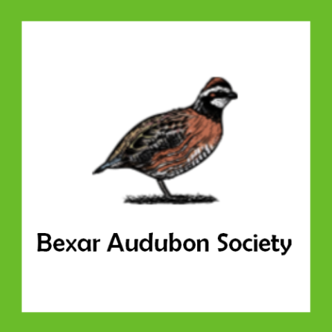 Bexar Audubon Society