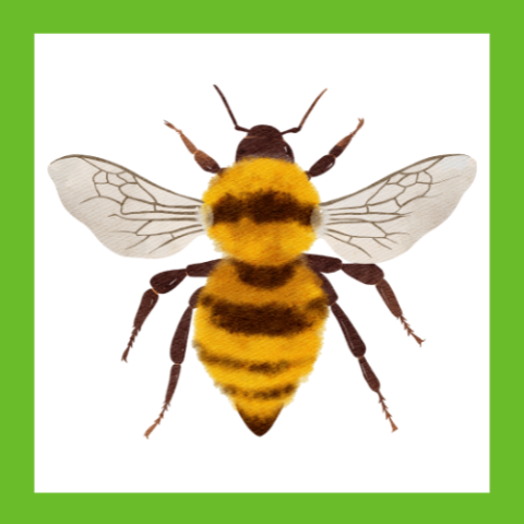 bee