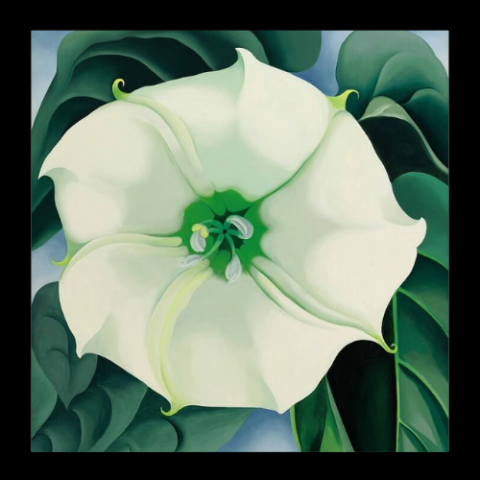 Jimson Weed/White Flower No. 1, 1932, Georgia O’Keeffe 