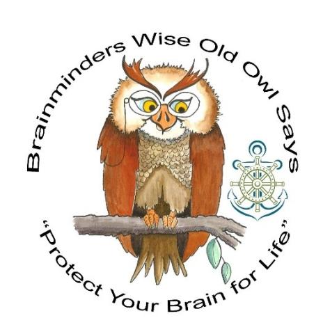 brain minders wise old owl says protect your brain for life